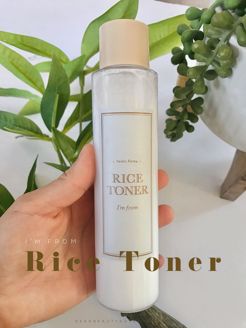 I'm From Rice Toner Review - Rediscovering My Style